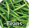 beans.jpg